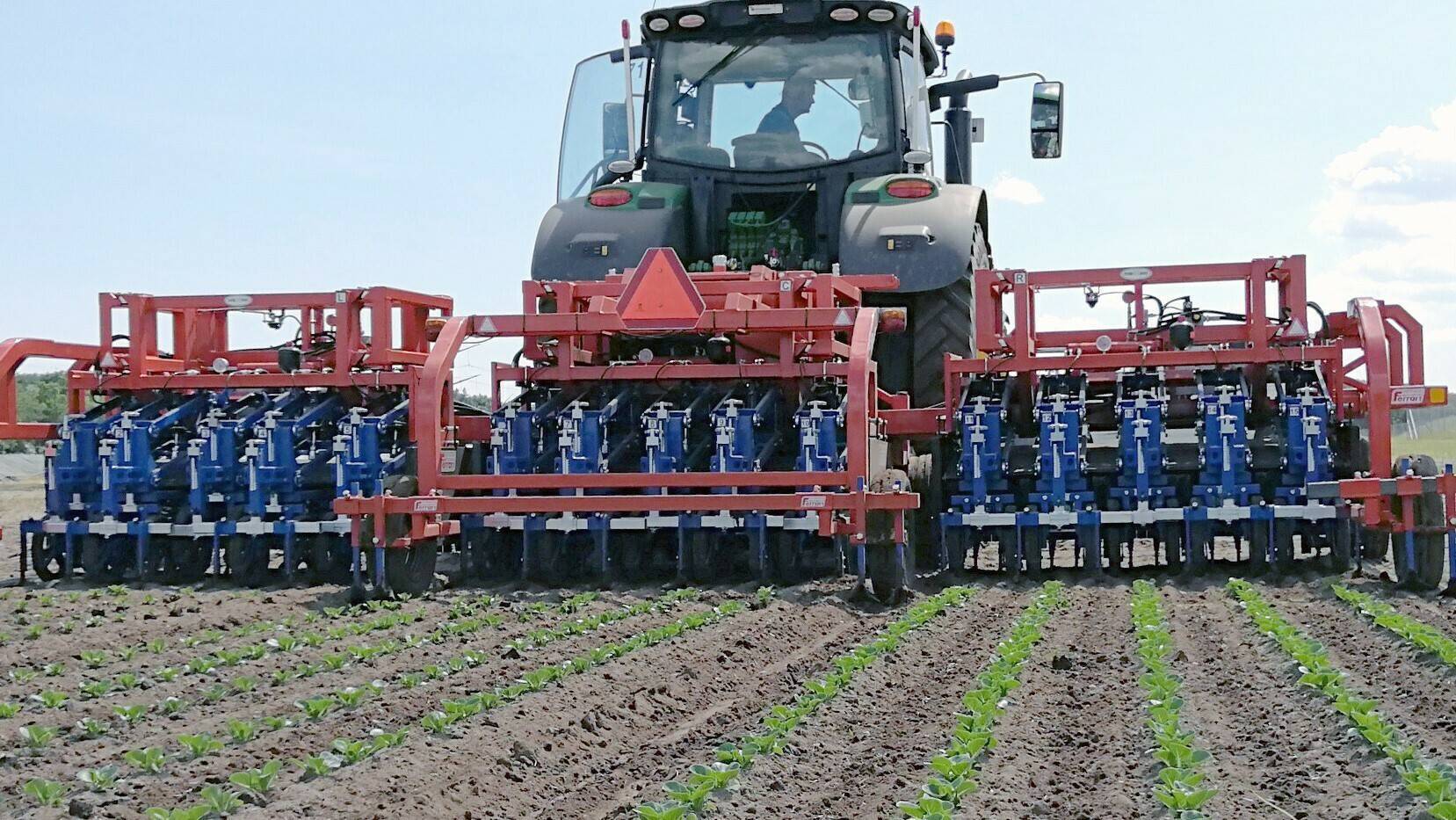 ferrari pacciamatrice-fp (2)|ferrari pacciamatrice-fp uno solo